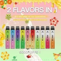 ALPSVAPE BY2 MAX 5000 Vape descartável de cigarro eletrônico