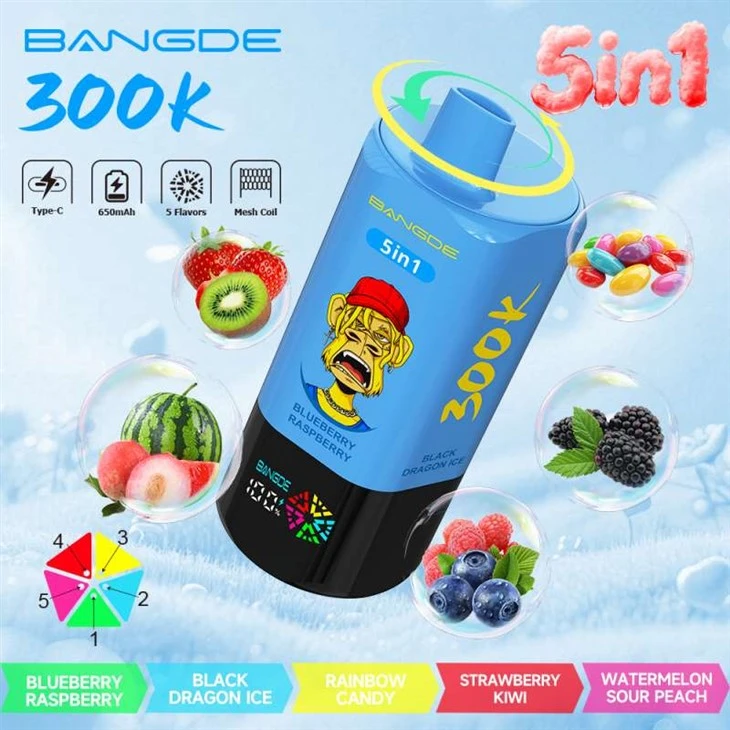 BANG DE 5 EM 1 300K