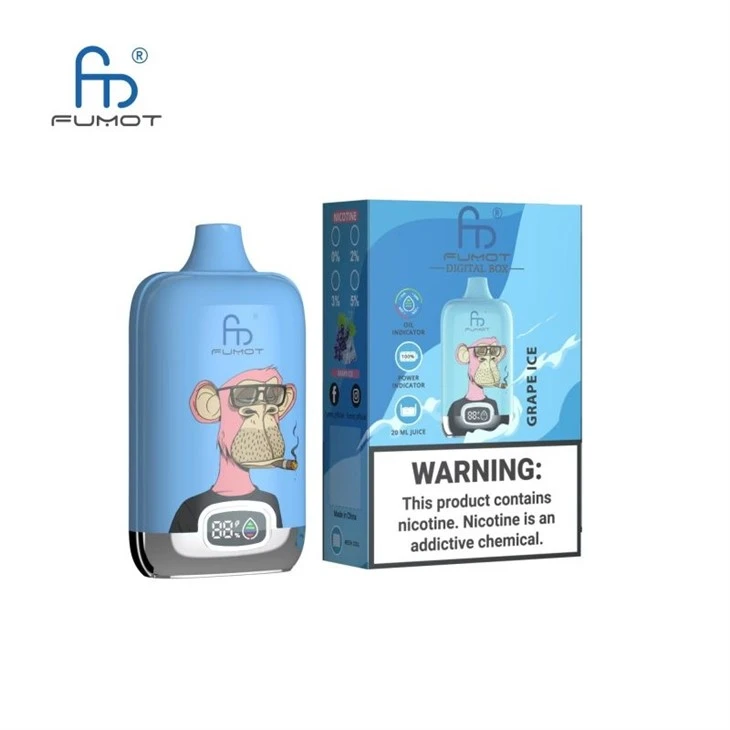 Melhor qualidade RandM Digital Box 12000 Puffs Wholoesale Vape