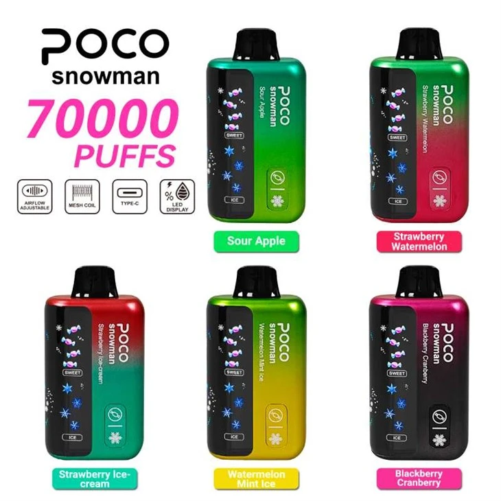 POCO BONECO DE NEVE 70000