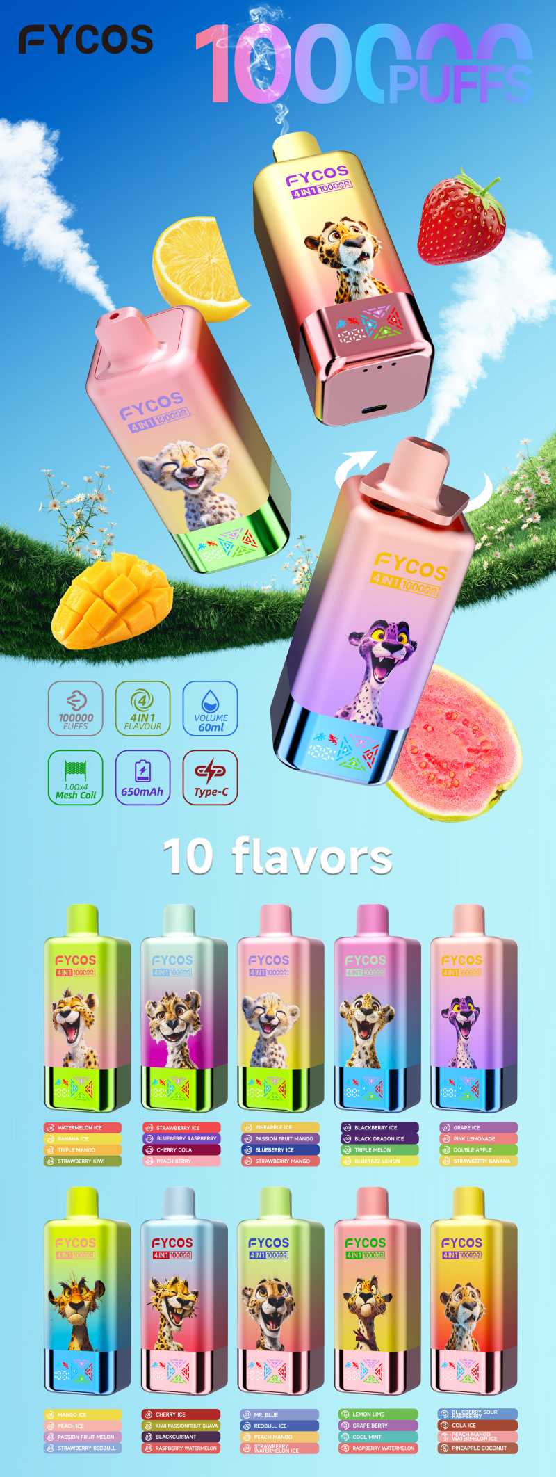 FYCOS 100000 2