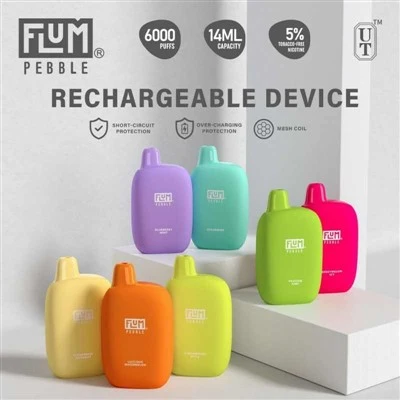 FLUM Pebble 6000 Puffs Vape Descartável
