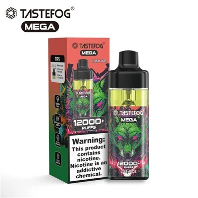 TASTEFOG MEGA 12000 Baforadas